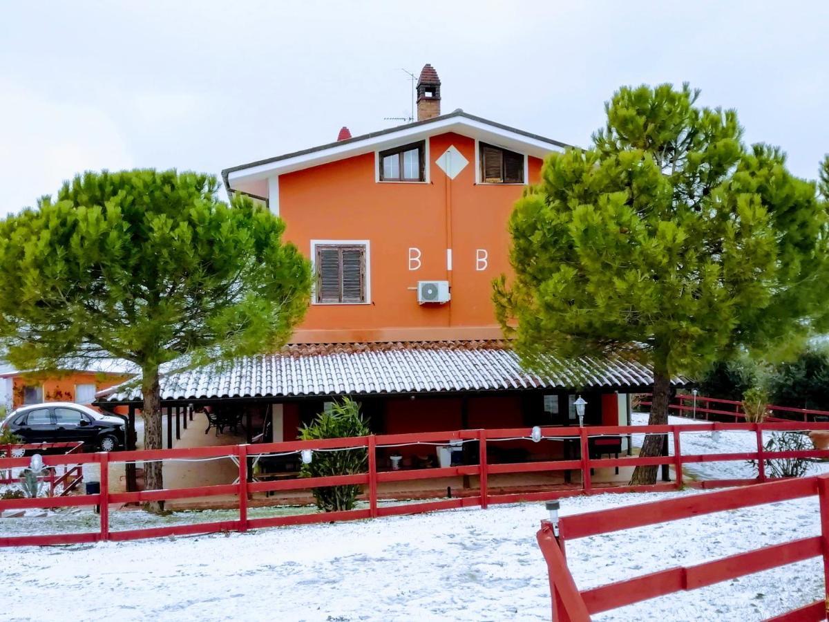 B&B Gli Amici Del Tubarello Roseto Degli Abruzzi Zewnętrze zdjęcie