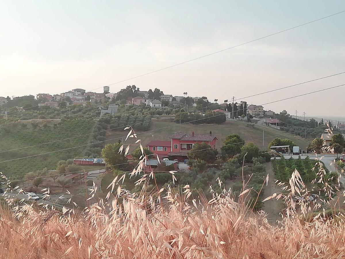 B&B Gli Amici Del Tubarello Roseto Degli Abruzzi Zewnętrze zdjęcie