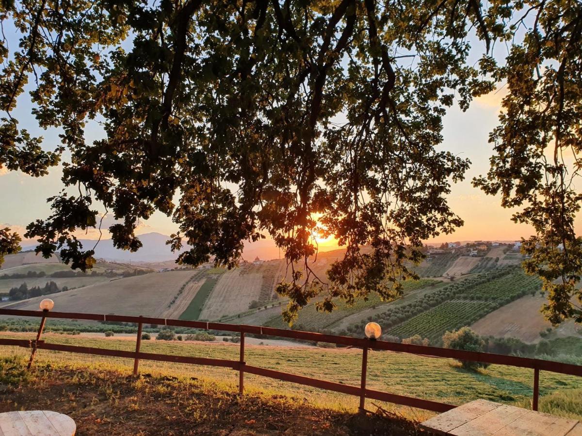 B&B Gli Amici Del Tubarello Roseto Degli Abruzzi Zewnętrze zdjęcie
