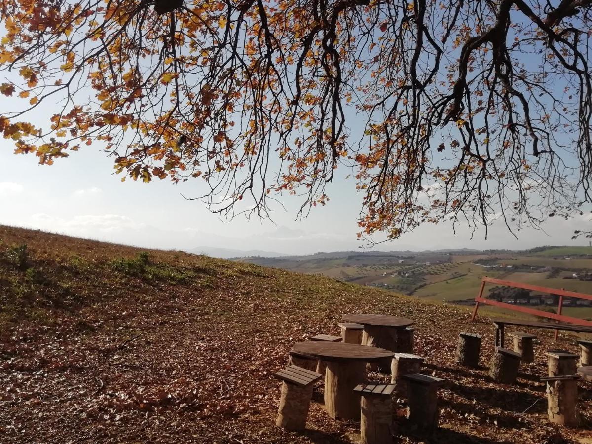 B&B Gli Amici Del Tubarello Roseto Degli Abruzzi Zewnętrze zdjęcie