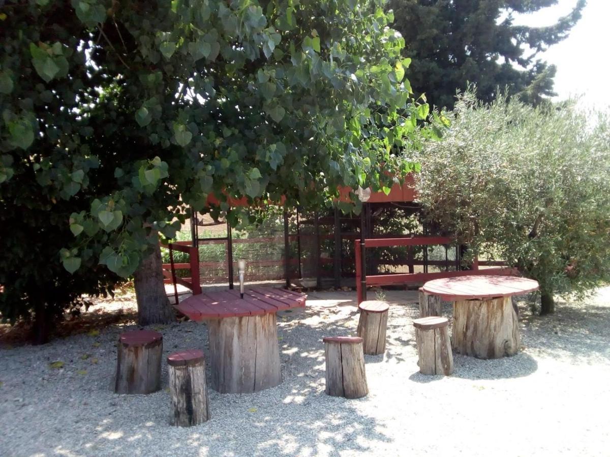 B&B Gli Amici Del Tubarello Roseto Degli Abruzzi Zewnętrze zdjęcie
