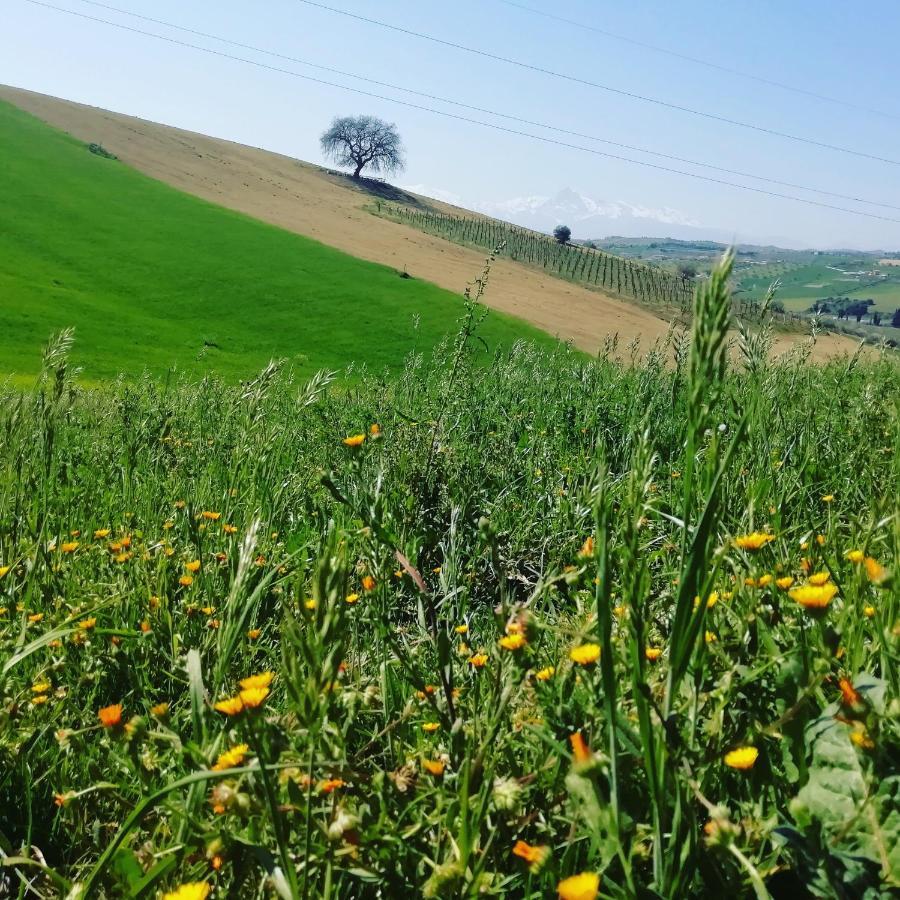 B&B Gli Amici Del Tubarello Roseto Degli Abruzzi Zewnętrze zdjęcie