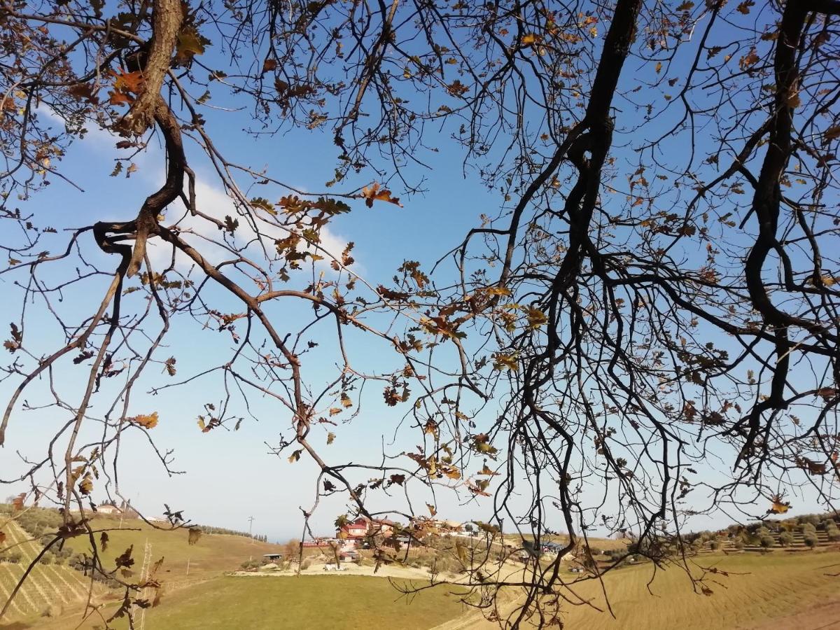 B&B Gli Amici Del Tubarello Roseto Degli Abruzzi Zewnętrze zdjęcie