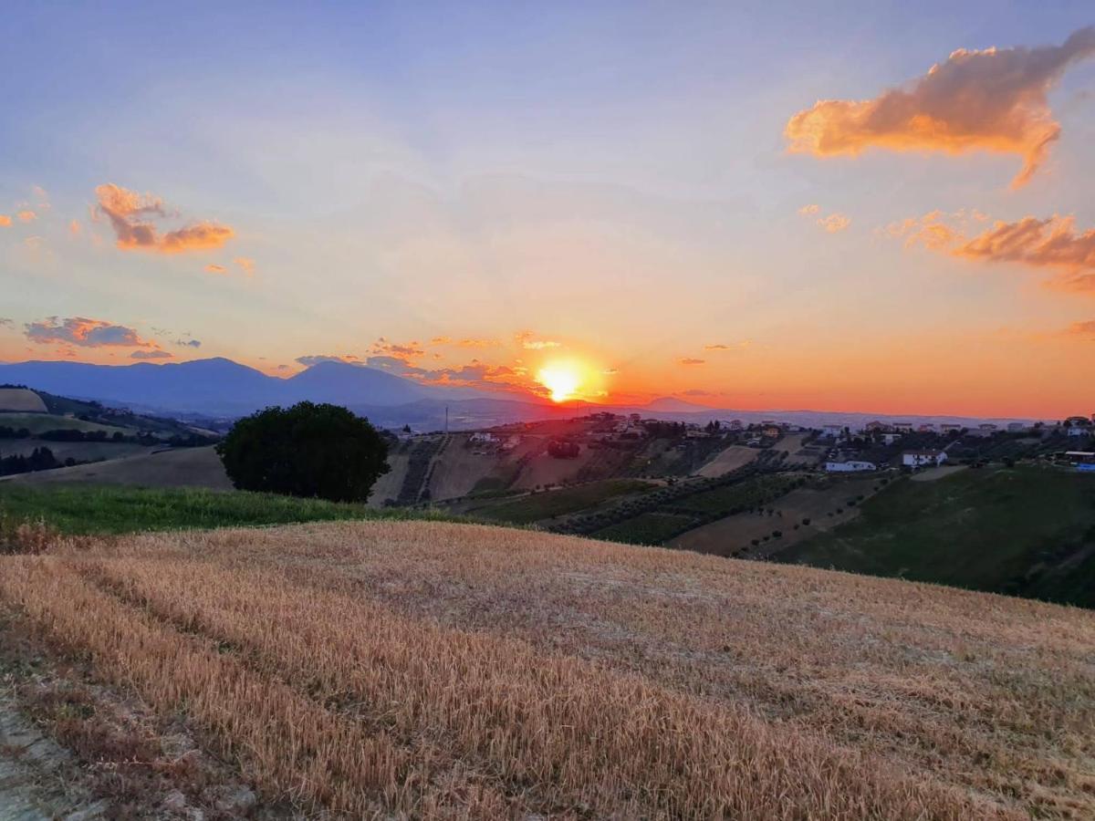 B&B Gli Amici Del Tubarello Roseto Degli Abruzzi Zewnętrze zdjęcie