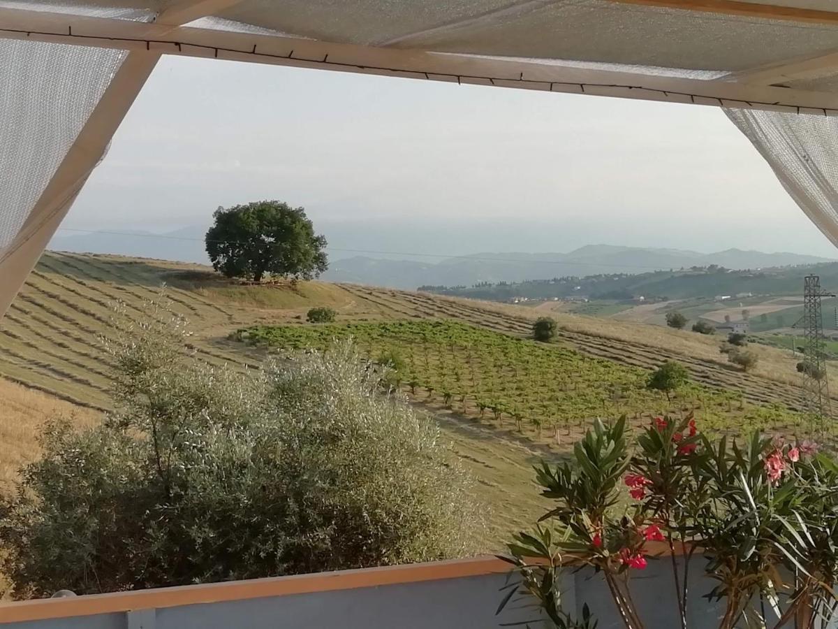 B&B Gli Amici Del Tubarello Roseto Degli Abruzzi Zewnętrze zdjęcie