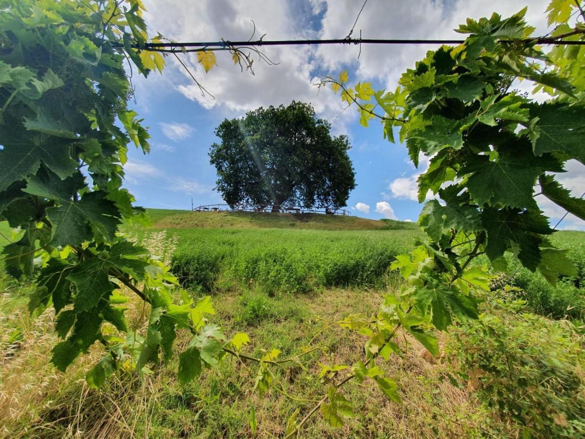 B&B Gli Amici Del Tubarello Roseto Degli Abruzzi Zewnętrze zdjęcie