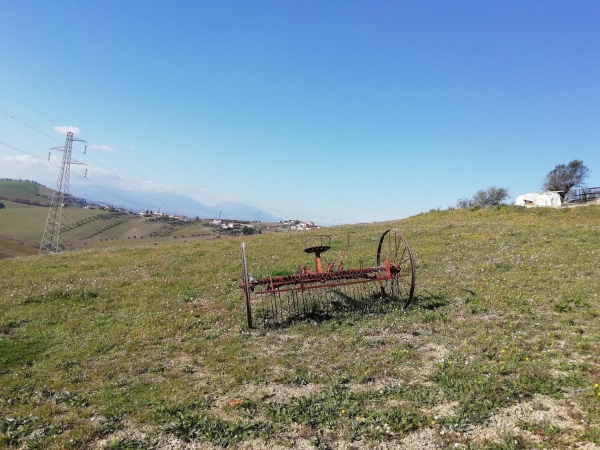 B&B Gli Amici Del Tubarello Roseto Degli Abruzzi Zewnętrze zdjęcie