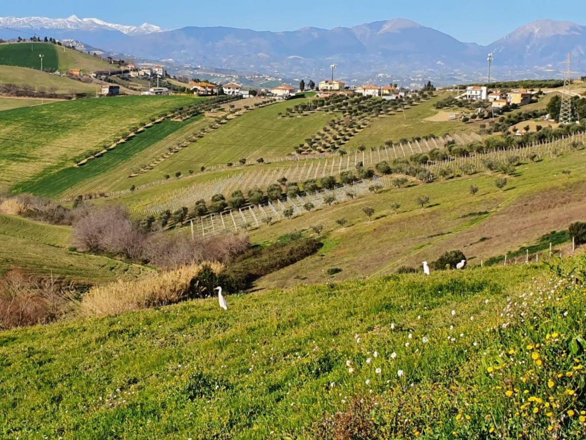 B&B Gli Amici Del Tubarello Roseto Degli Abruzzi Zewnętrze zdjęcie