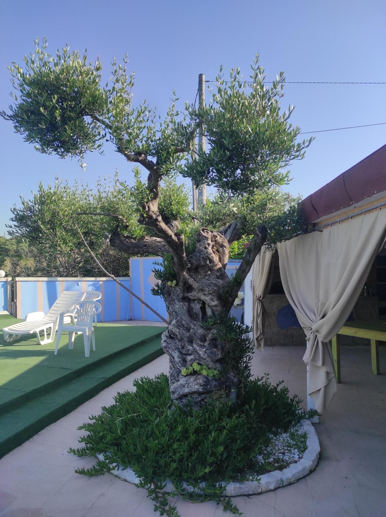 B&B Gli Amici Del Tubarello Roseto Degli Abruzzi Zewnętrze zdjęcie