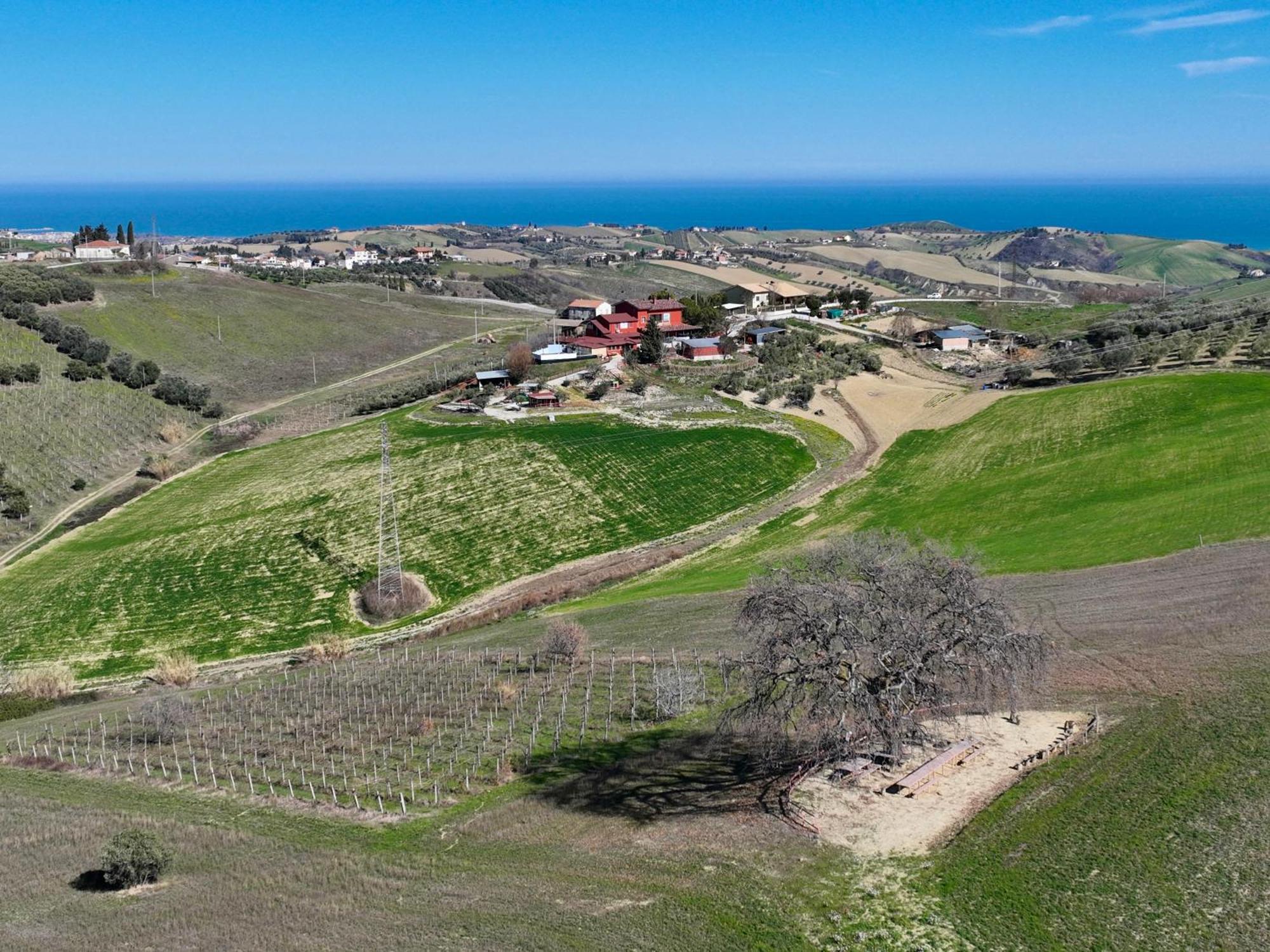 B&B Gli Amici Del Tubarello Roseto Degli Abruzzi Zewnętrze zdjęcie