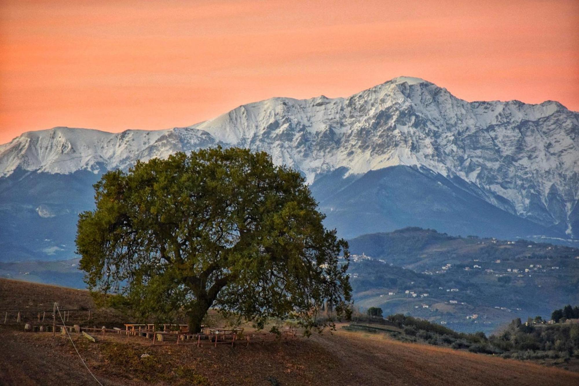 B&B Gli Amici Del Tubarello Roseto Degli Abruzzi Zewnętrze zdjęcie