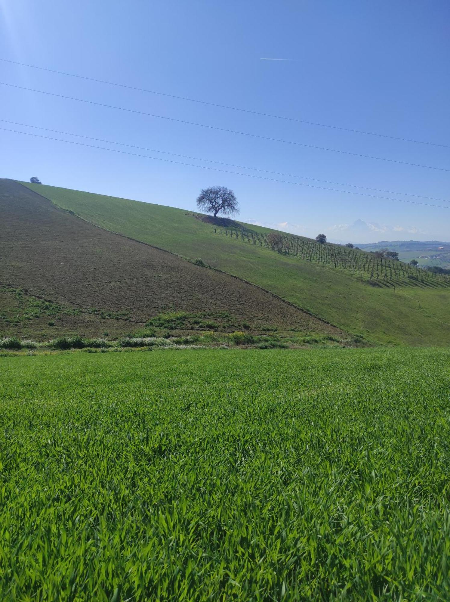 B&B Gli Amici Del Tubarello Roseto Degli Abruzzi Zewnętrze zdjęcie